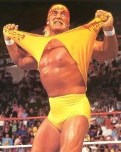 Hulk Hogan Launching New Wrestling Program
