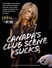 Ke$ha Teams Up With PETA