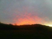 Billy Ray Cyrus Posts UFO Sighting