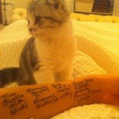 Taylor Swift Thanks Fans With New Ink