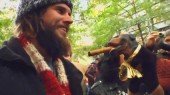 Triumph The Insult Comic Dog Occupys Wall Street
