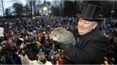 Happy Ground Hogs Day. Happy Six More Weeks Of Winter