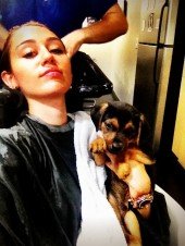 Miley Cyrus Leaves Walmart With A Puppy