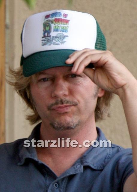 One Donation Away From Owning Arizona! 060408 sl spade07 Celebs Photo One Donation Away From Owning Arizona!
