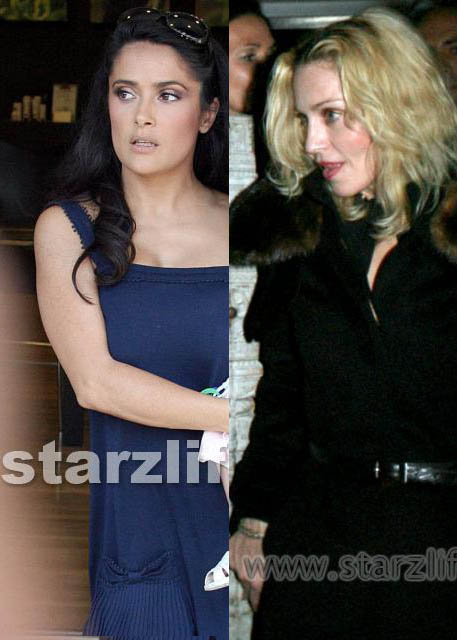 Salma and Madonna Subject of Computer Swine. madonnahay Celebs Photo Salma and Madonna Subject of Computer Swine.