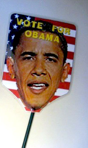 Obama Would Hurt a Fly