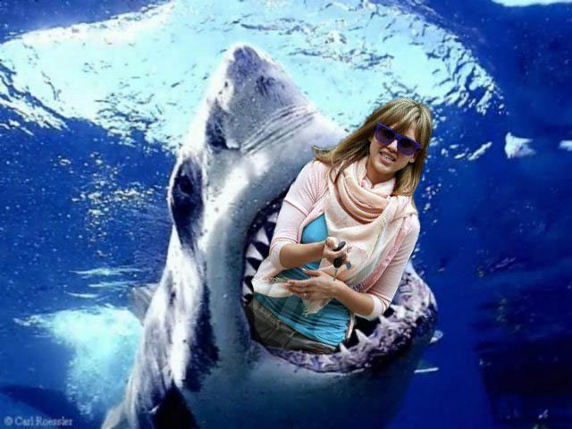 Alba in Trouble Over Shark Posters. albashark Celebs Photo Alba in Trouble Over Shark Posters.