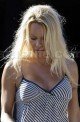 What Has Become of Pamela Anderson? main 321 80x122 Celebs Photo What Has Become of Pamela Anderson?