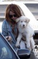 Miley Cyrus: Same Dog Different Day 012410 SL 2Cyrus12 80x122 Celebs Photo Miley Cyrus: Same Dog Different Day