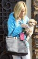 STARZLIFE PICS: Ashley Tisdale and Her Fluffly Dog