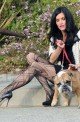EXCLUSIVE!!! Janice Dickinson and the Dogs Take Bel Air 022410 SL Dickinson20 80x122 Celebs Photo EXCLUSIVE!!! Janice Dickinson and the Dogs Take Bel Air