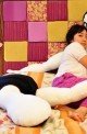 Twi Hards & Pillow Humpers Unite! 