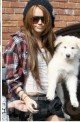 Miley Cyrus: Same Dog Different Day Miley Dog1 80x122 Celebs Photo Miley Cyrus: Same Dog Different Day