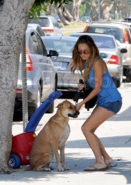 Lauren Conrad: EXCLUSIVE!!! Conrad ‘n’ Kyle ‘n’ Chloe (the Dog)