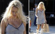 Pamela Anderson: What Has Become of Pamela Anderson?
