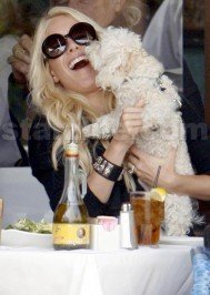 Heidi Montag: Look At Heidi’s Face. LOOK AT IT