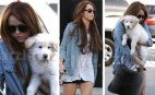 Celebrity Gossip and News: Miley Cyrus: Miley & Mutt Hit the Mall
