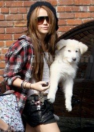 Miley Cyrus: STARZLIFE PICS: Miley Cyrus! Noah Cyrus! Fluffy White Dog Cyrus!