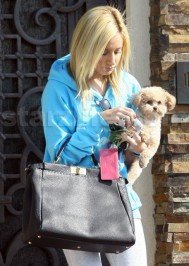 ashley tisdale: STARZLIFE PICS: Ashley Tisdale and Her Fluffly Dog