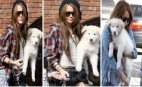 Celebrity Gossip and News: Miley Cyrus: Miley Cyrus: Same Dog Different Day