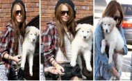 Miley Cyrus: Miley Cyrus: Same Dog Different Day