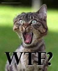 WTF?: Read This Letter by an Idiot Offended by Roger Ebert’s Use of WTF