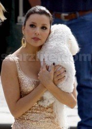 Eva Longoria: STARZLIFE PICS: Eva Longoria and Her Little Dog, Too