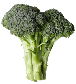ttar_broccoli_h ttar_broccoli_h