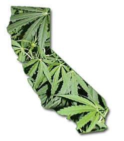 marijuana-california